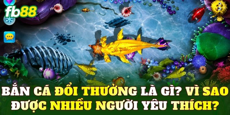 Bắn cá đổi thưởng là gì? Vì sao được nhiều người yêu thích?