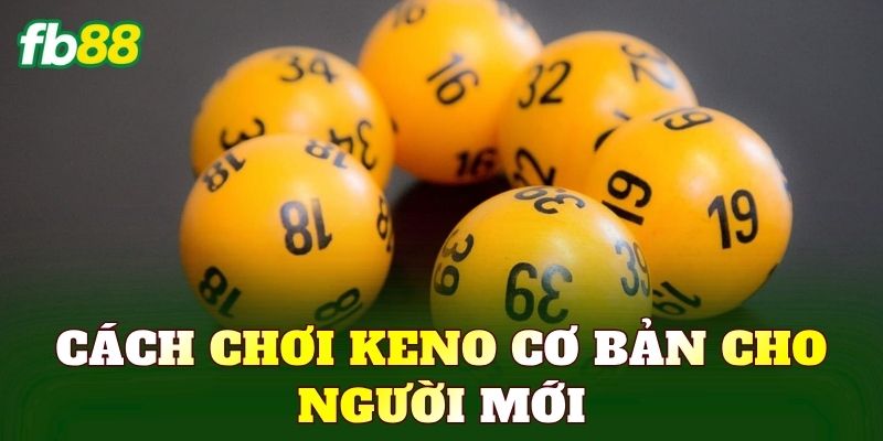 Cách chơi keno cơ bản cho người mới