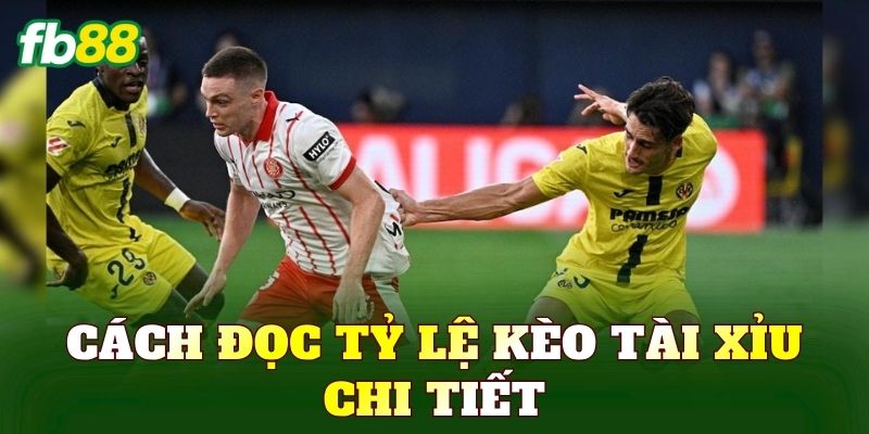 Kèo Tài Xỉu Là Gì? Cách Đọc Và Bắt Kèo Chuẩn 2 Cách đọc tỷ lệ kèo tài xỉu chi tiết
