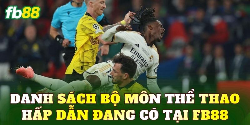 Danh sách bộ môn thể thao hấp dẫn đang có tại FB88