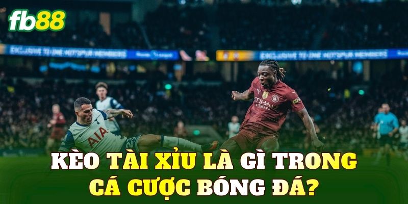 Kèo Tài Xỉu Là Gì? Cách Đọc Và Bắt Kèo Chuẩn 1 Kèo tài xỉu là gì trong cá cược bóng đá?