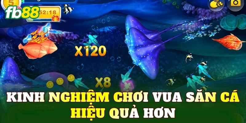 Vua Săn Cá – Game Bắn Cá Đổi Thưởng Hấp Dẫn 3 Kinh nghiệm chơi vua săn cá hiệu quả hơn