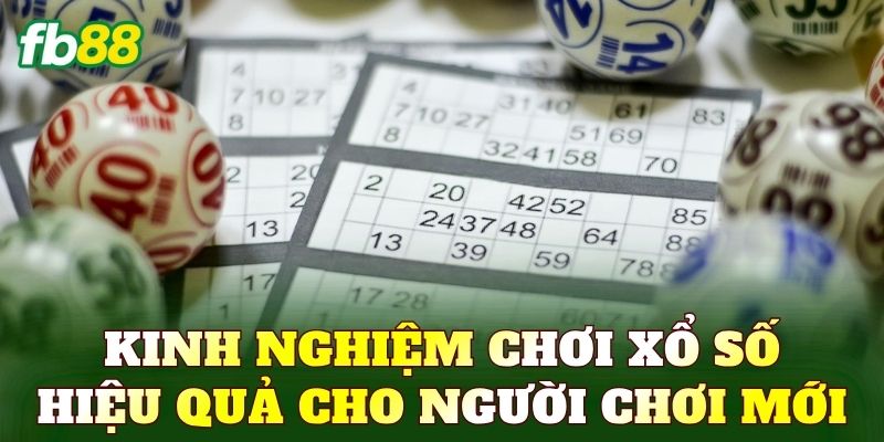 Kinh nghiệm chơi xổ số hiệu quả cho người chơi mới