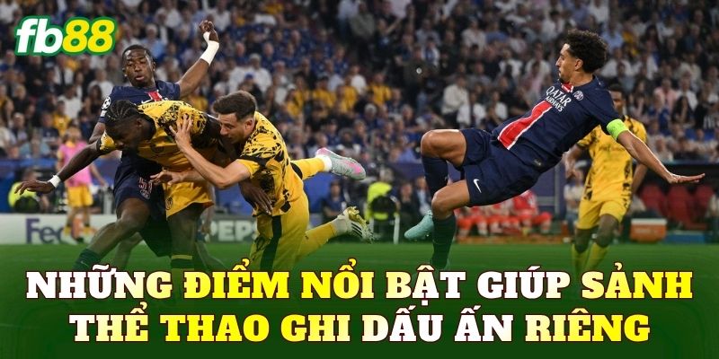 Những điểm nổi bật giúp sảnh thể thao ghi dấu ấn riêng