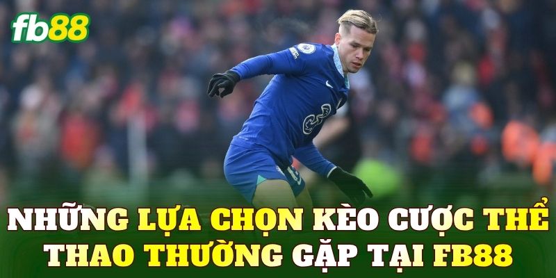 Những lựa chọn kèo cược thể thao thường gặp tại FB88