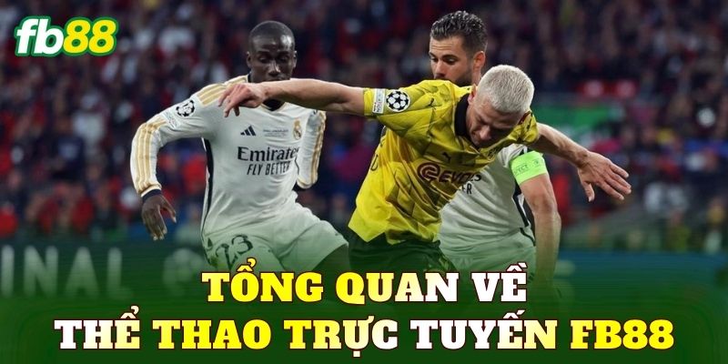Tổng quan về khu vực thể thao trực tuyến FB88